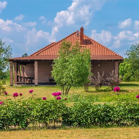 Prie Traku Villa Petkeniskes Buitenkant foto